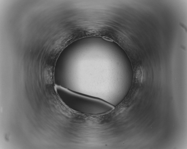 X0000102830868200808251131