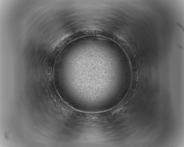 X0000102830870200808251131