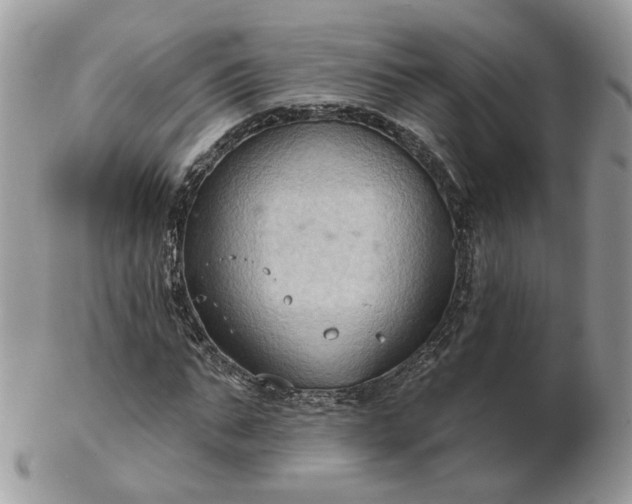 X0000102830871200808251131