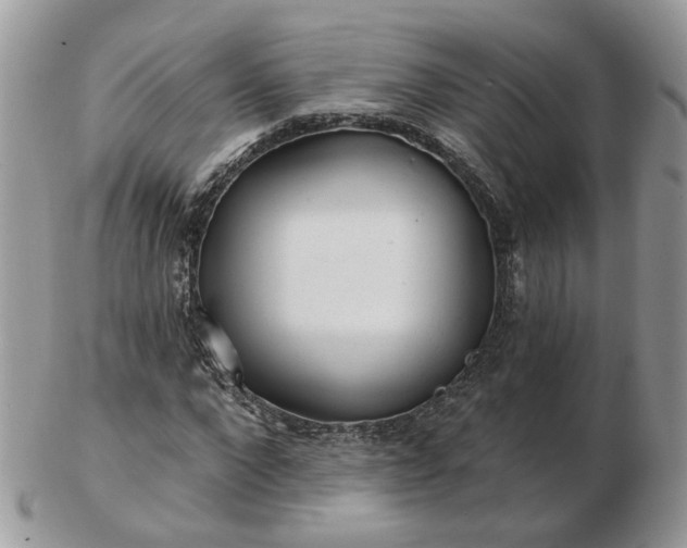 X0000102830872200808251131