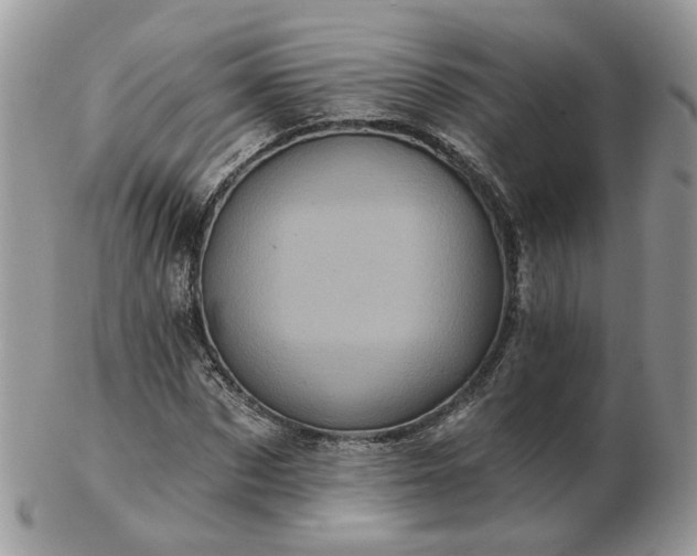 X0000102830873200808251131