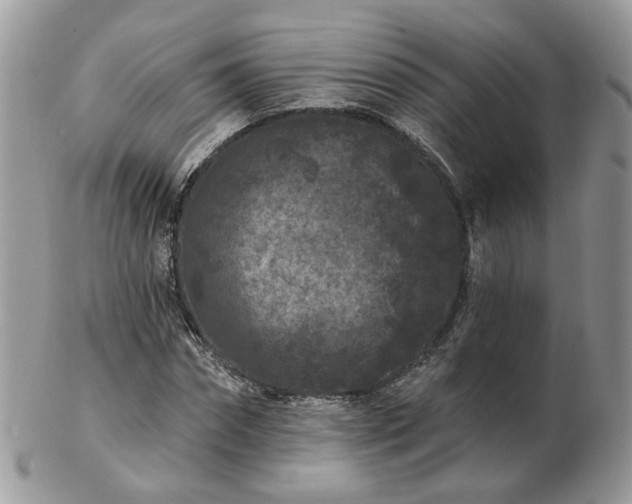 X0000102830874200808251131