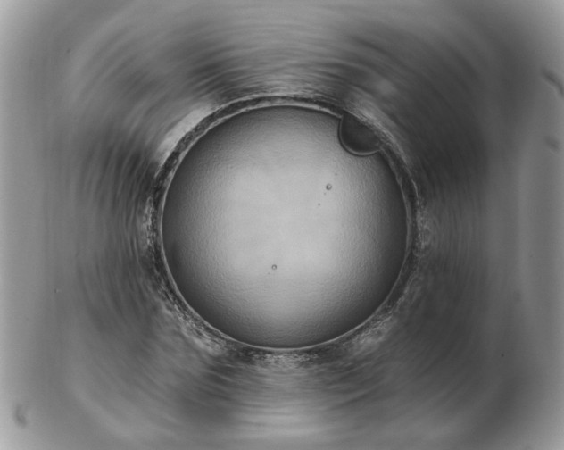 X0000102830875200808251131