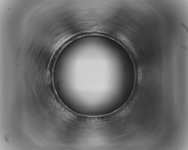 X0000102830876200808251131