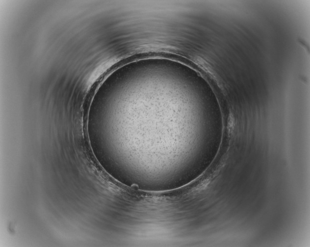 X0000102830877200808251131