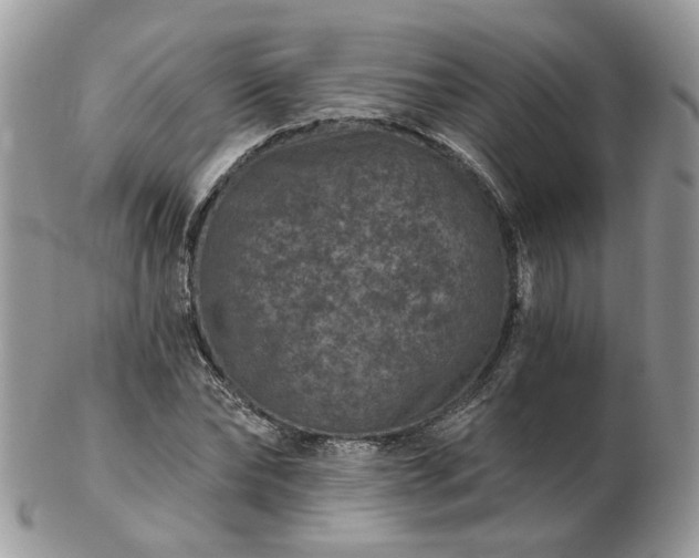 X0000102830878200808251131