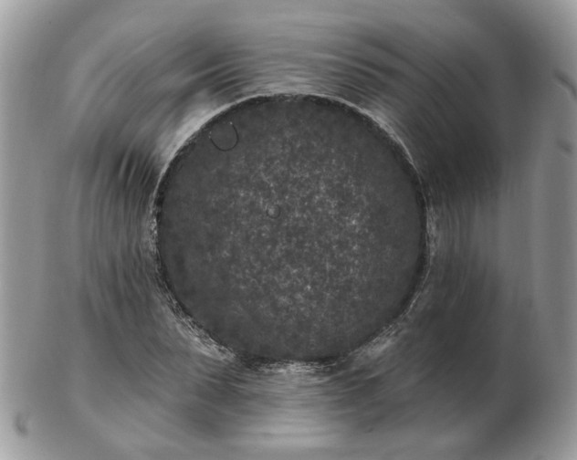 X0000102830879200808251131