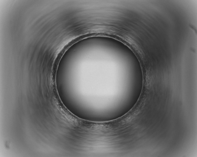 X0000102830880200808251131