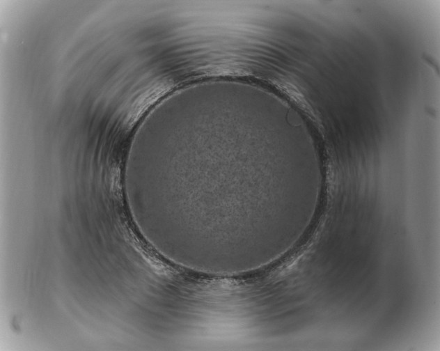 X0000102830881200808251131