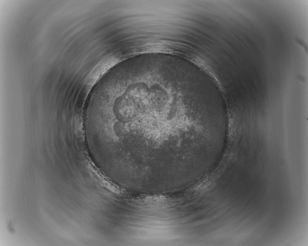 X0000102830882200808251131