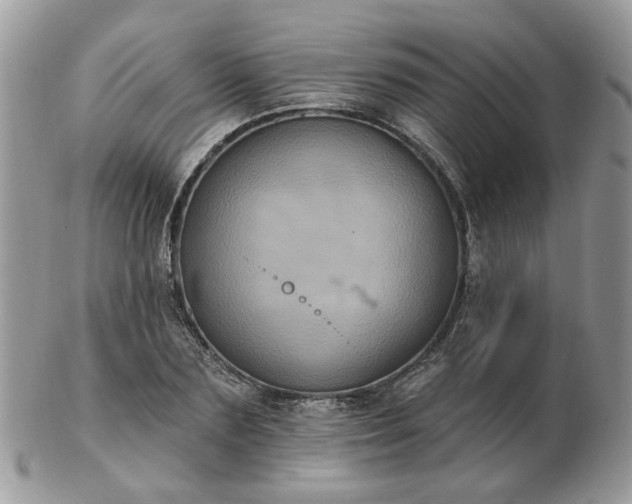 X0000102830883200808251131