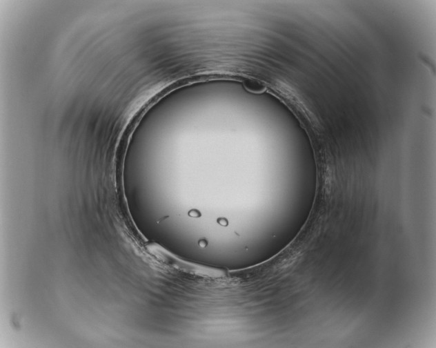 X0000102830884200808251131