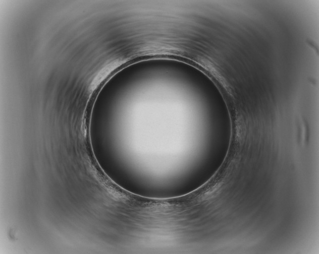 X0000102830885200808251131