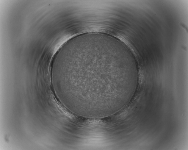 X0000102830886200808251131