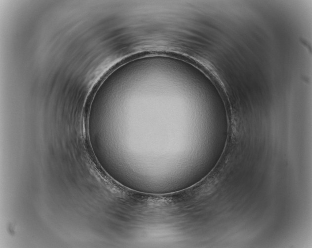 X0000102830887200808251131