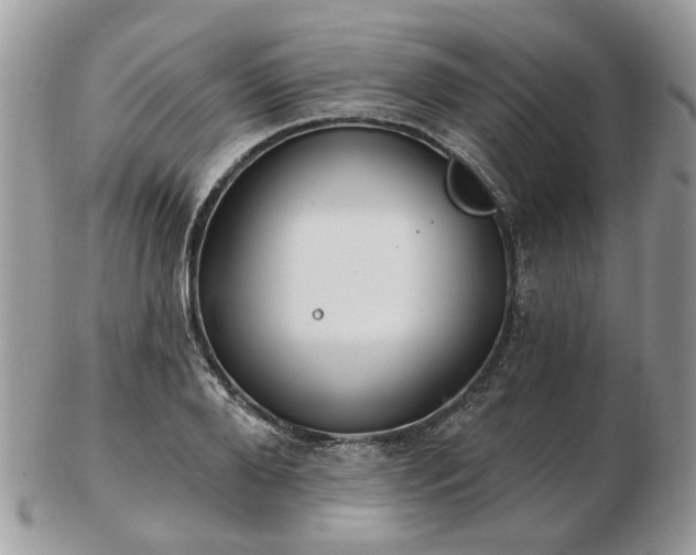 X0000102830888200808251131