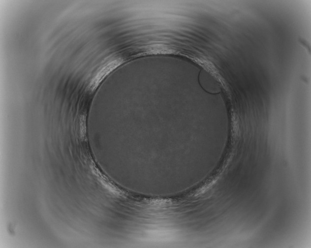 X0000102830889200808251131