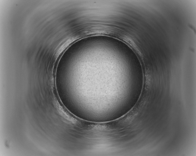 X0000102830890200808251131