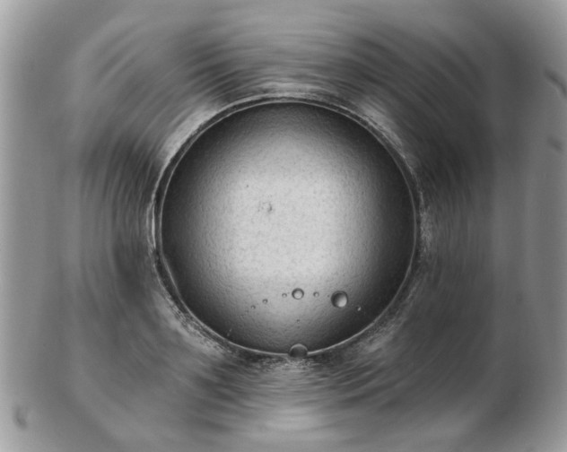 X0000102830891200808251131