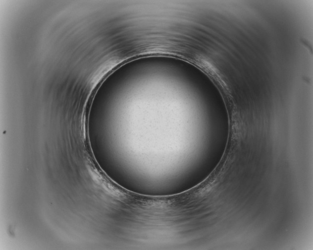 X0000102830892200808251131