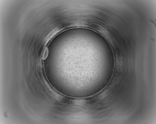 X0000102830893200808251131