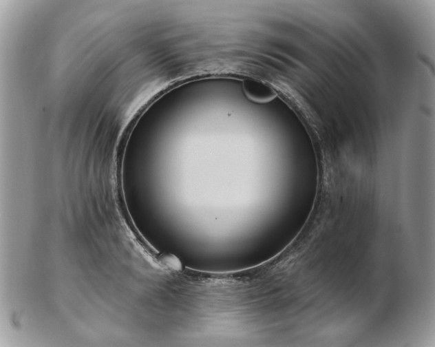 X0000102830894200808251131