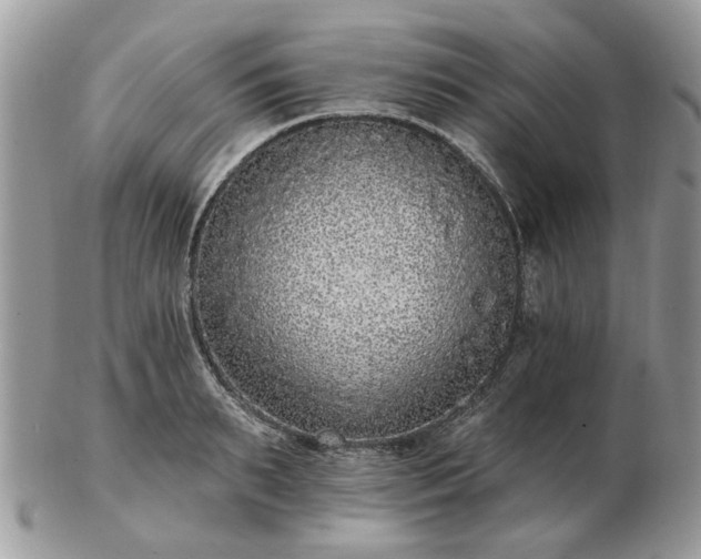 X0000102830895200808251131