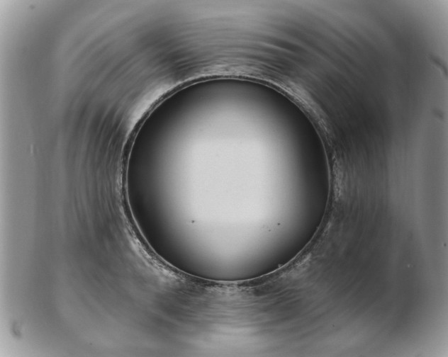 X0000102830896200808251131