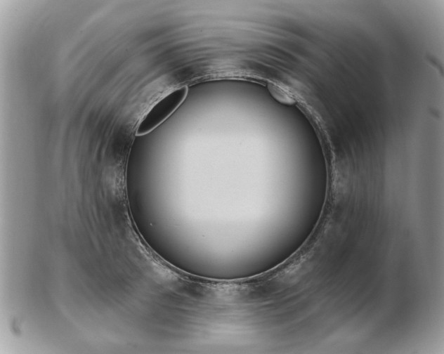 X0000102830897200808251131