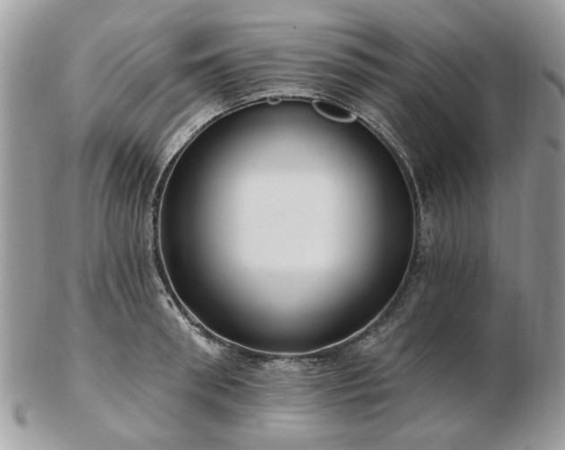 X0000102830898200808251131