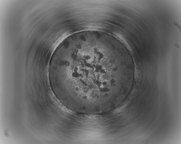 X0000102830899200808251131