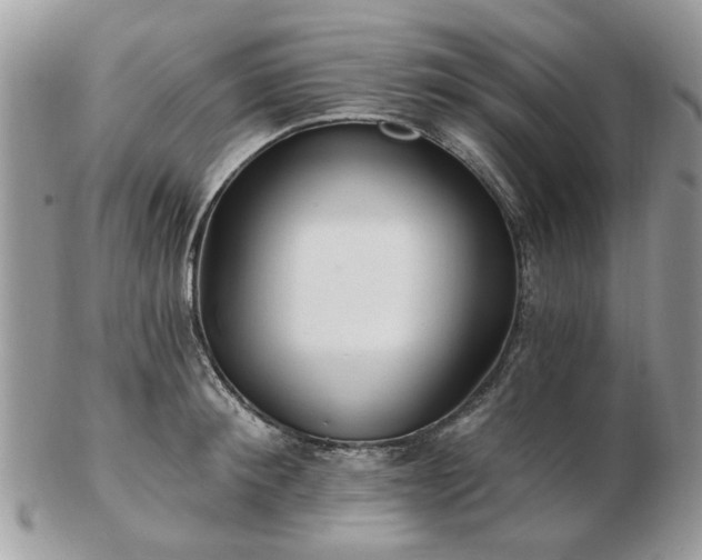 X0000102830900200808251131