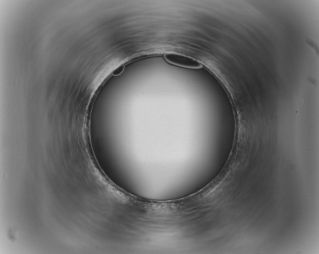 X0000102830901200808251131