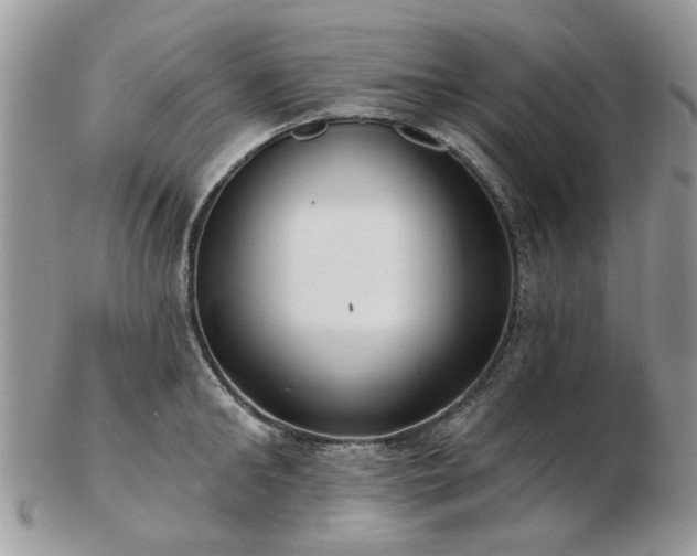 X0000102830902200808251131