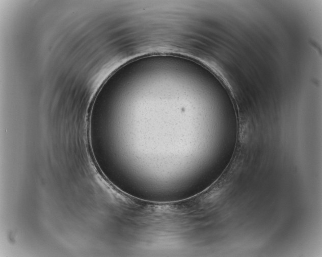 X0000102830903200808251131