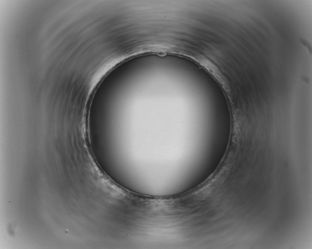 X0000102830904200808251131