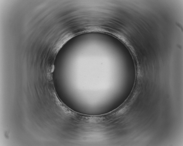 X0000102830905200808251131