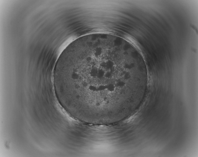 X0000102830907200808251131