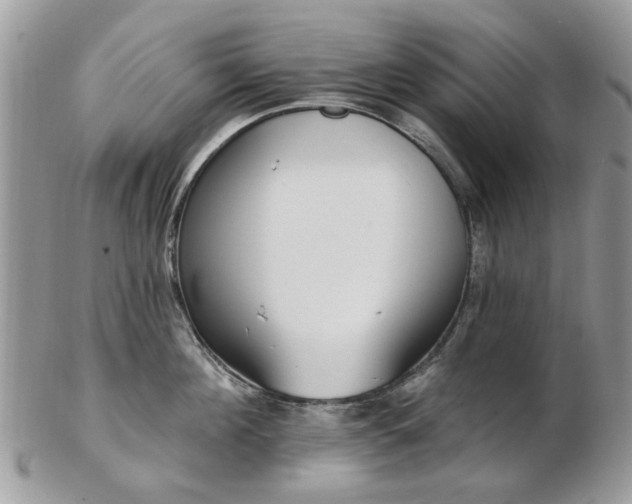 X0000102830908200808251131