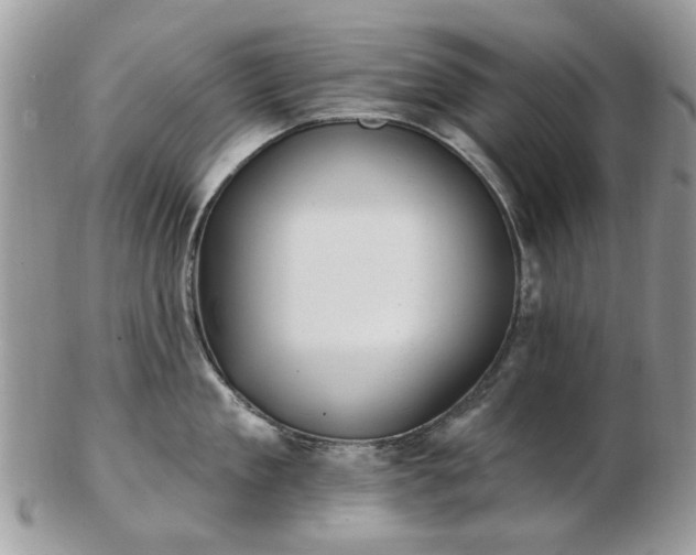 X0000102830909200808251131