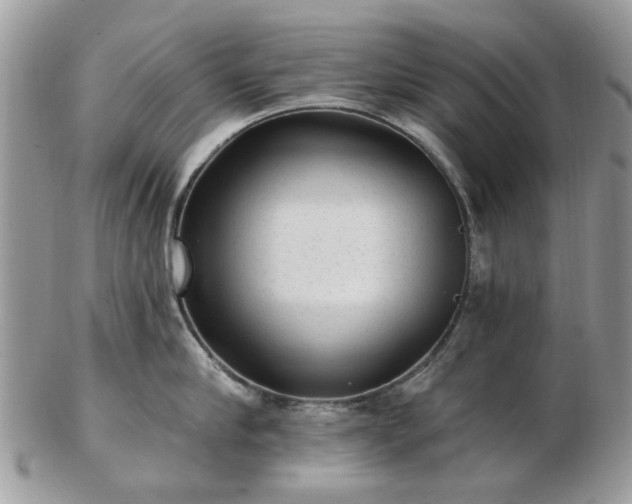 X0000102830910200808251131