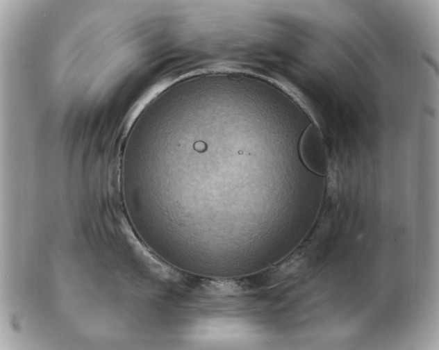 X0000102830911200808251131