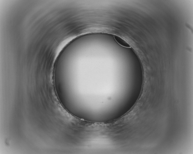 X0000102830912200808251131