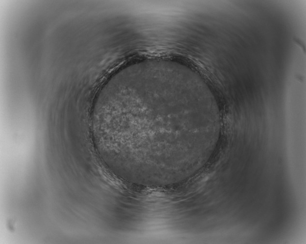 X0000102830913200808251130