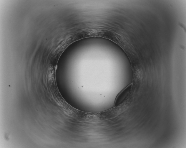 X0000102830914200808251130