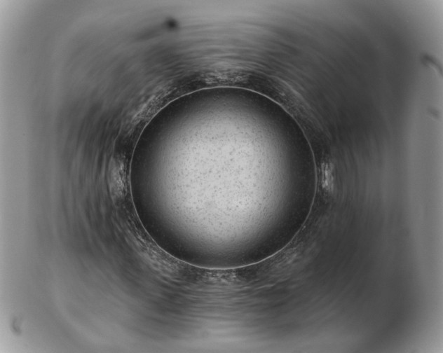 X0000102830915200808251130