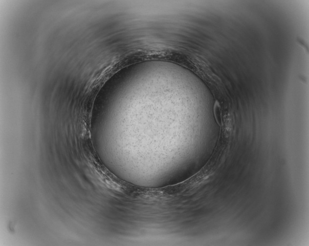 X0000102830916200808251130