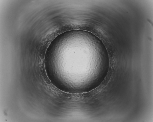 X0000102830917200808251130