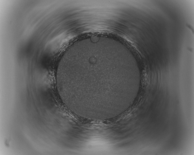 X0000102830918200808251130