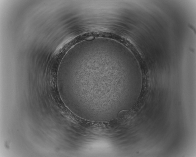 X0000102830919200808251130